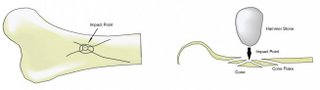 Breakage patterns resulting from hammerstone strikes. (Credit: Kate Johnson, San Diego Natural History Museum)